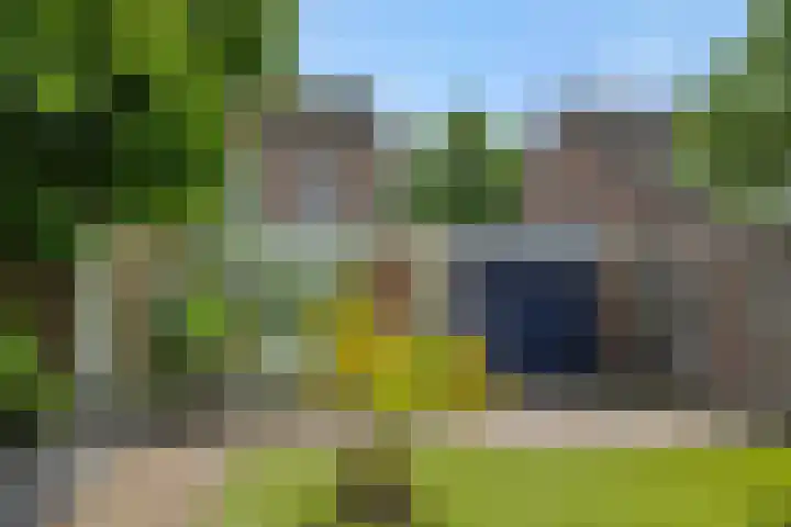 Slutelakker 38 Lierop thumbnail 23