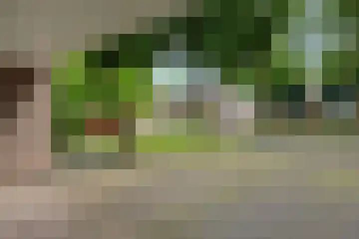 Slutelakker 38 Lierop thumbnail 27