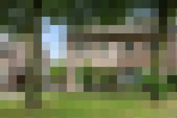 Slutelakker 38 Lierop thumbnail 28