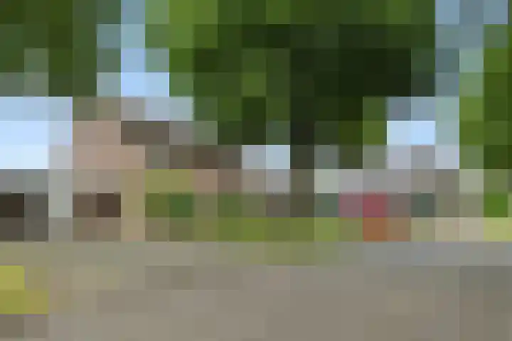 Slutelakker 38 Lierop thumbnail 29
