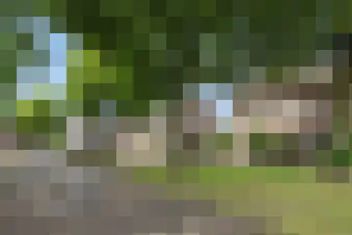 Slutelakker 38 Lierop thumbnail 30