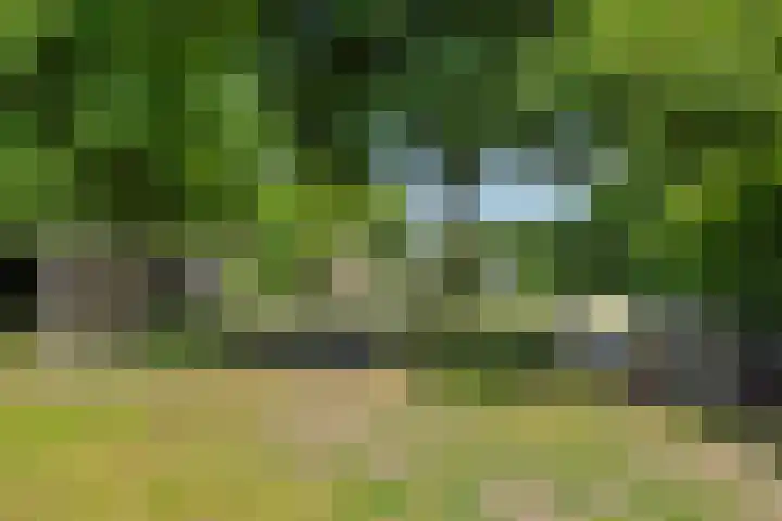 Slutelakker 38 Lierop thumbnail 32