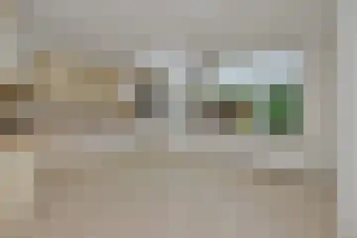 Slutelakker 38 Lierop thumbnail 4