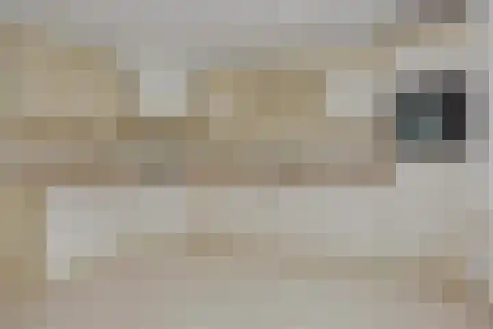 Slutelakker 38 Lierop thumbnail 6