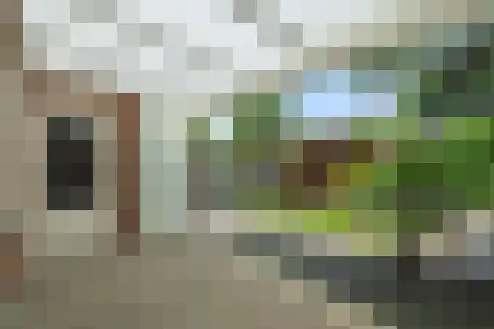 Slutelakker 38 Lierop thumbnail 8