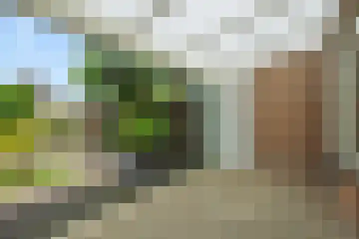 Slutelakker 38 Lierop thumbnail 9