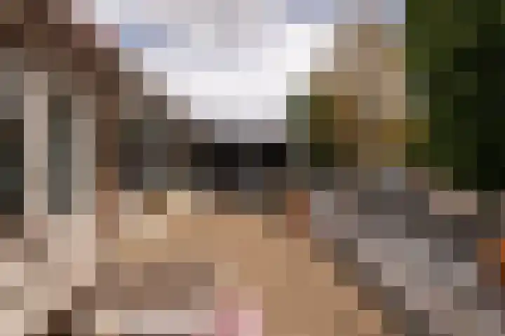 Sluterstraat 4 Elst thumbnail 15