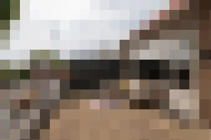 Sluterstraat 4 Elst thumbnail 16