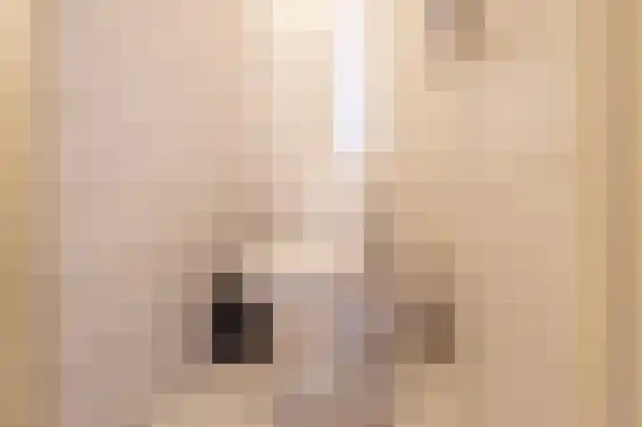 Sluterstraat 4 Elst thumbnail 20