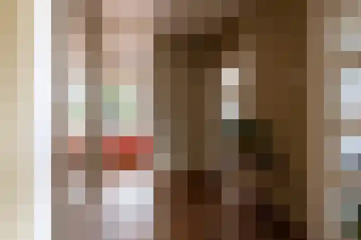 Sluterstraat 4 Elst thumbnail 4