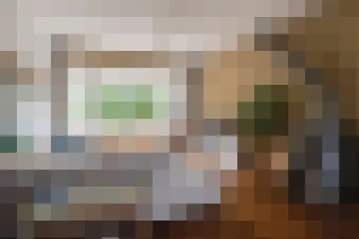 Sluterstraat 4 Elst thumbnail 8