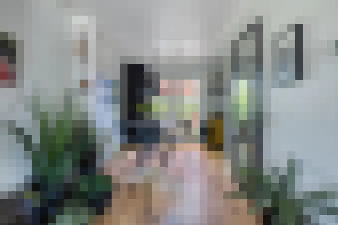 Sluuslaan 29 Middelharnis thumbnail 16