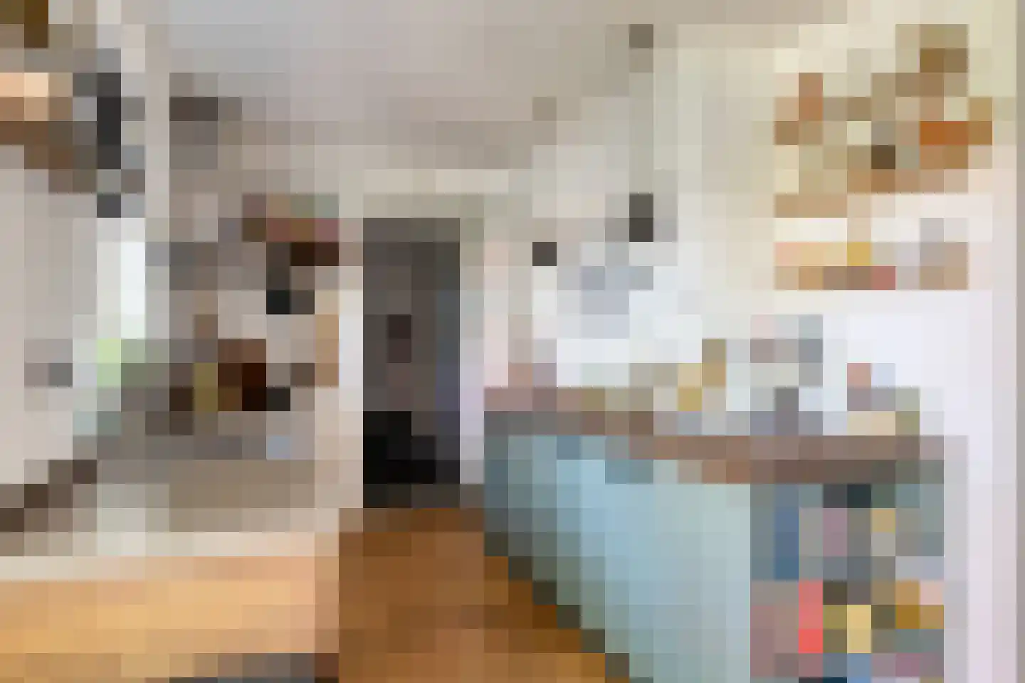 Sluuslaan 29 Middelharnis thumbnail 18