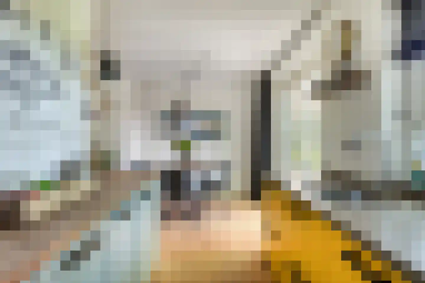 Sluuslaan 29 Middelharnis thumbnail 20