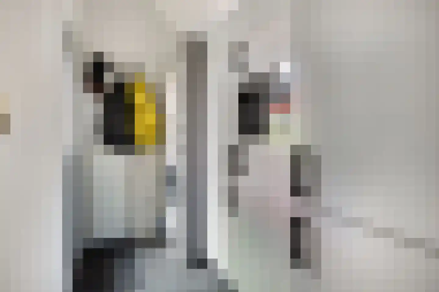 Sluuslaan 29 Middelharnis thumbnail 21