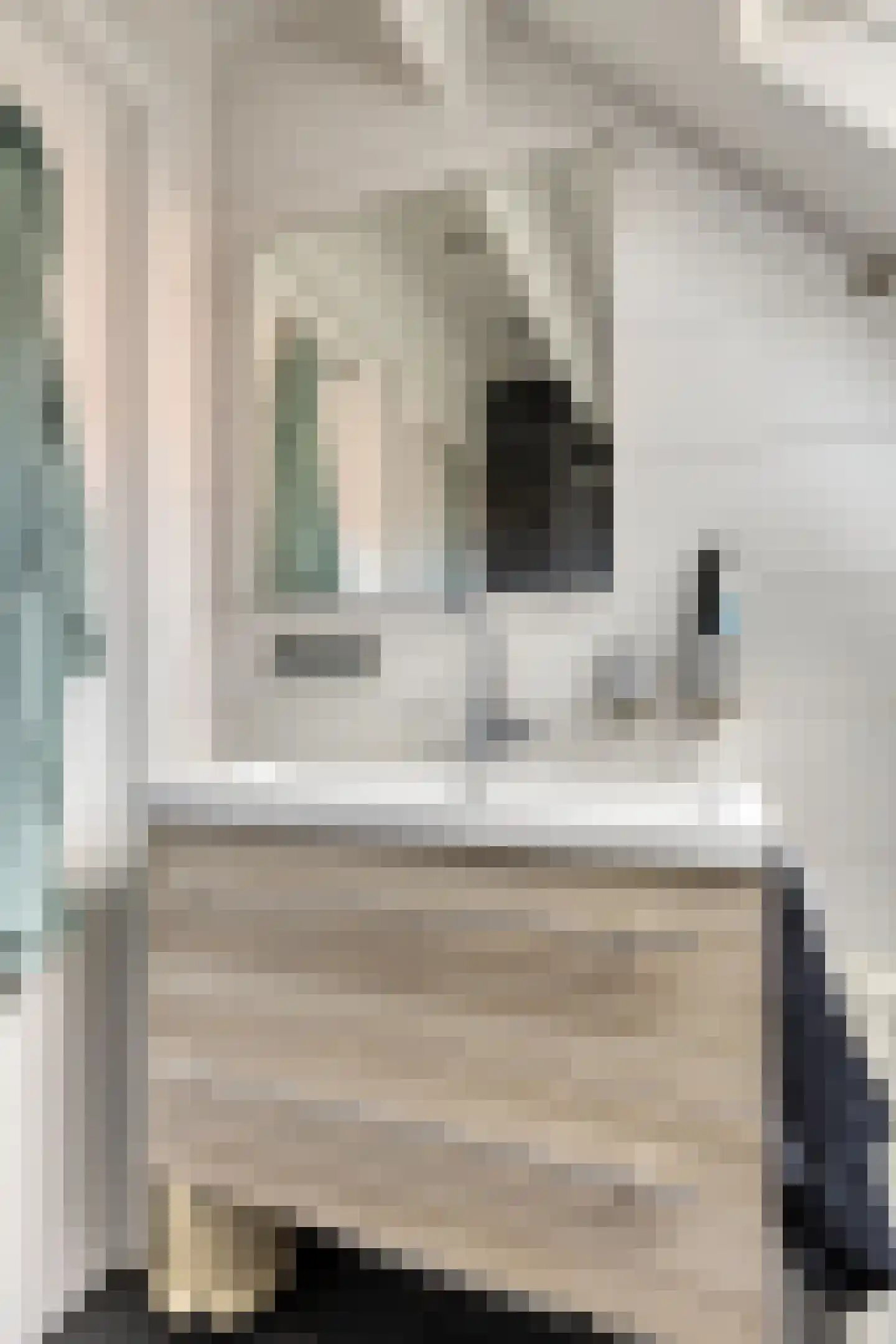 Sluuslaan 29 Middelharnis thumbnail 29