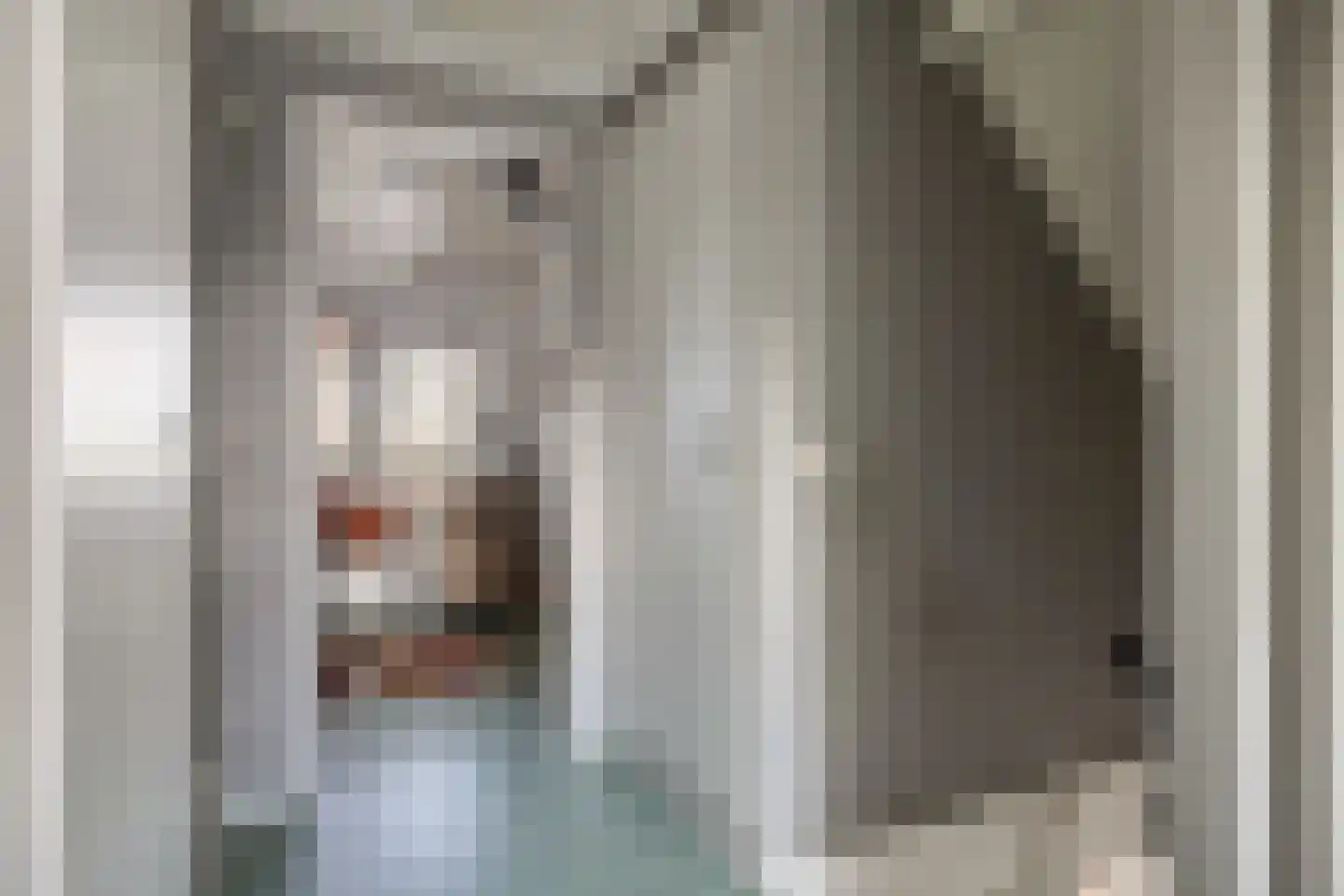 Sluuslaan 29 Middelharnis thumbnail 32