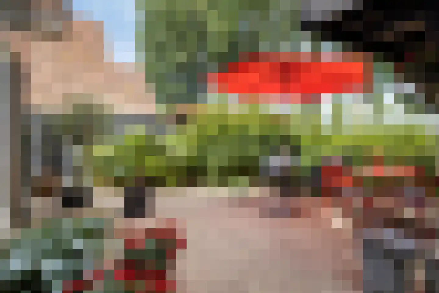 Sluuslaan 29 Middelharnis thumbnail 36