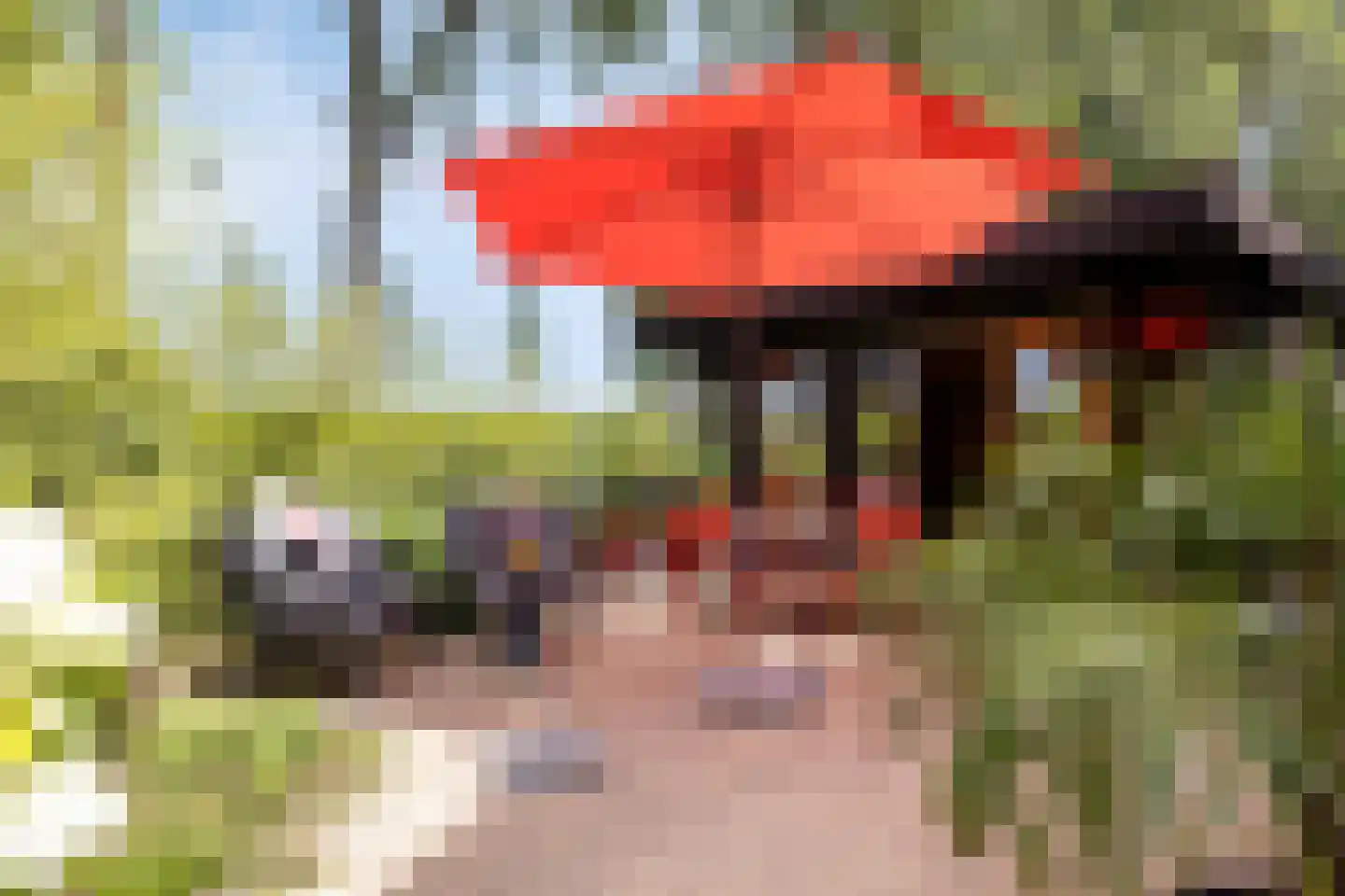 Sluuslaan 29 Middelharnis thumbnail 37