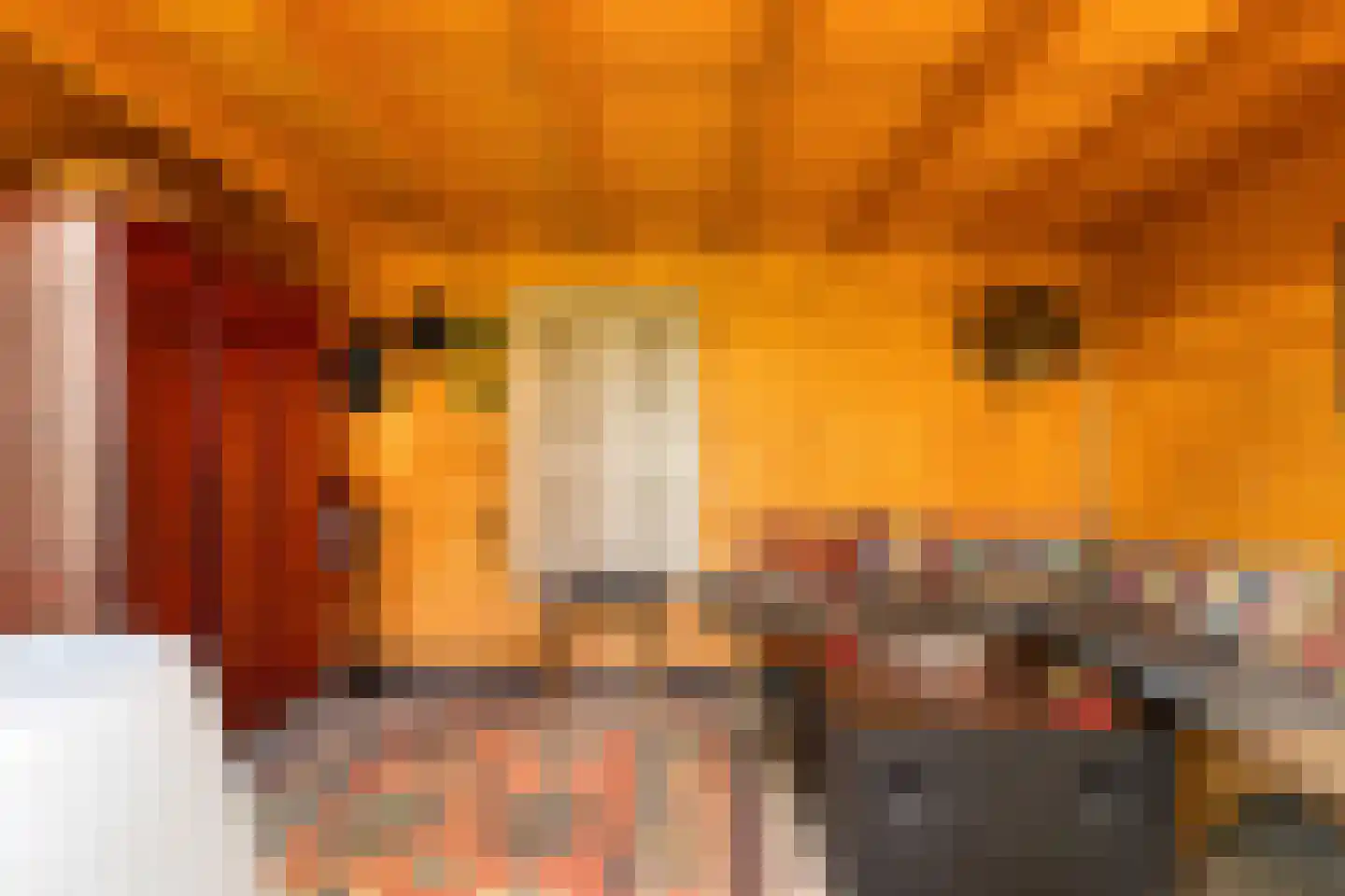 Sluuslaan 29 Middelharnis thumbnail 41