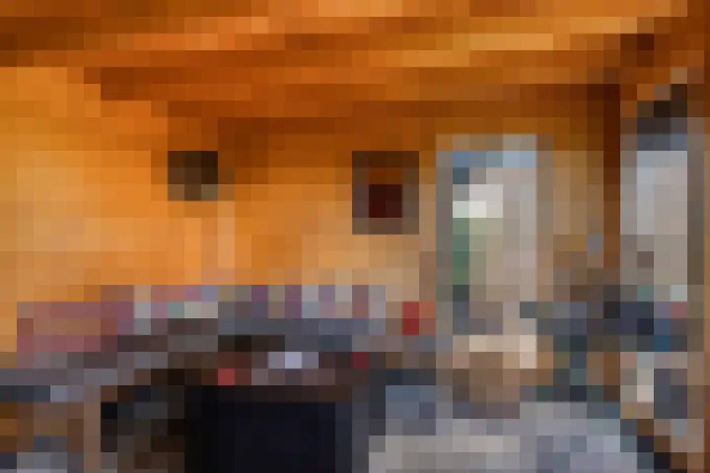 Sluuslaan 29 Middelharnis thumbnail 42