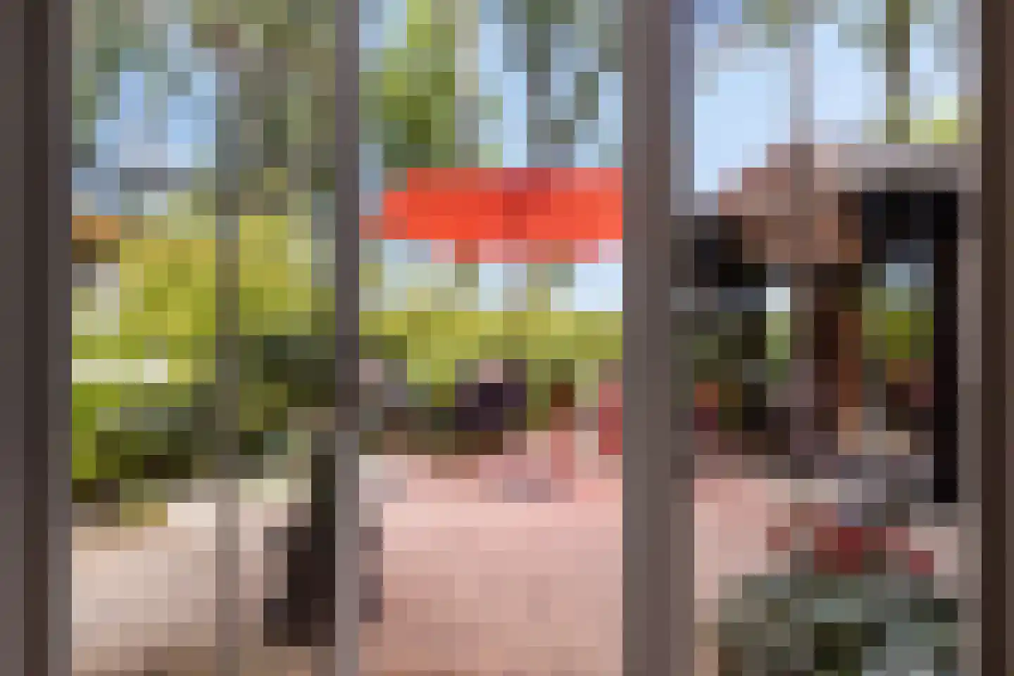 Sluuslaan 29 Middelharnis thumbnail 43