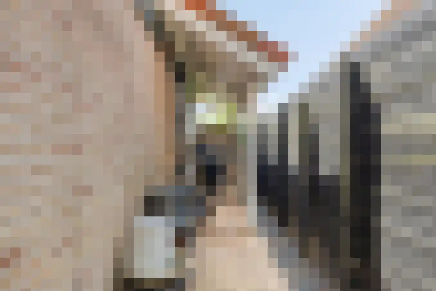 Sluuslaan 29 Middelharnis thumbnail 44