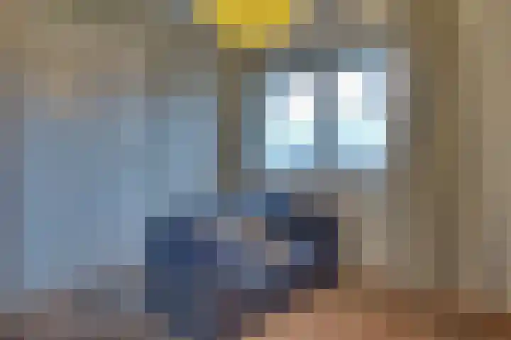 Sluuslaan 3 Middelharnis thumbnail 12