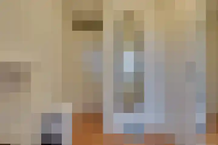 Sluuslaan 3 Middelharnis thumbnail 17
