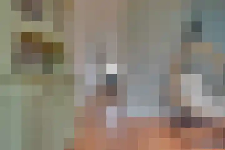 Sluuslaan 3 Middelharnis thumbnail 25