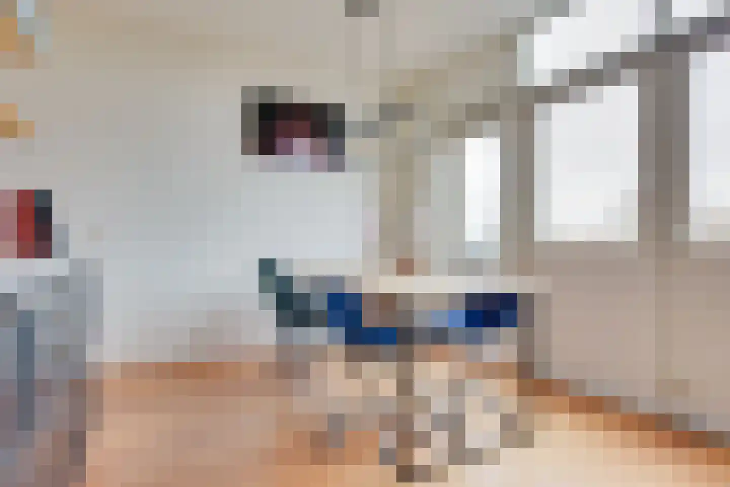 Sluuslaan 3 Middelharnis thumbnail 36