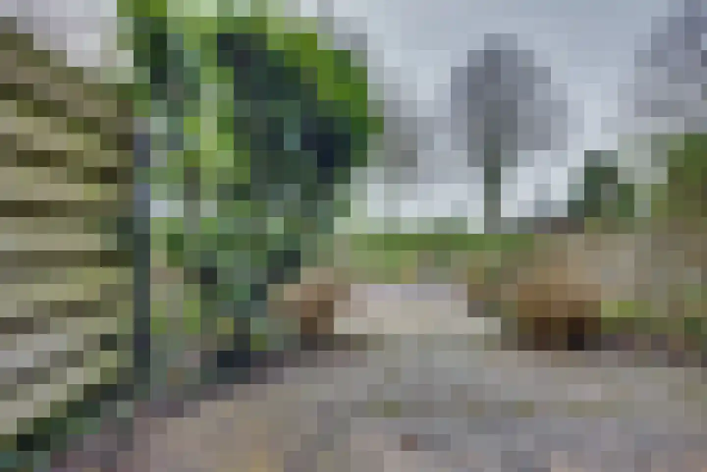 Sluuslaan 3 Middelharnis thumbnail 44