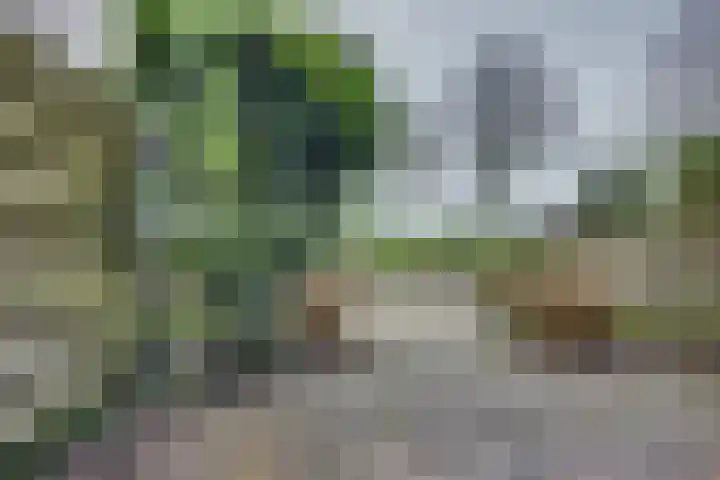 Sluuslaan 3 Middelharnis thumbnail 45