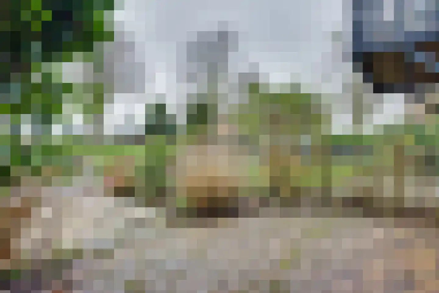 Sluuslaan 3 Middelharnis thumbnail 45