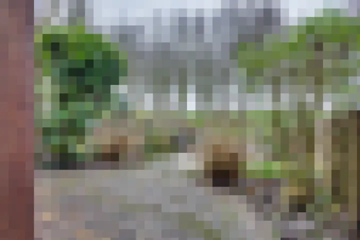 Sluuslaan 3 Middelharnis thumbnail 46