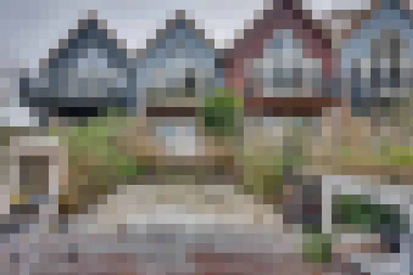 Sluuslaan 3 Middelharnis thumbnail 50