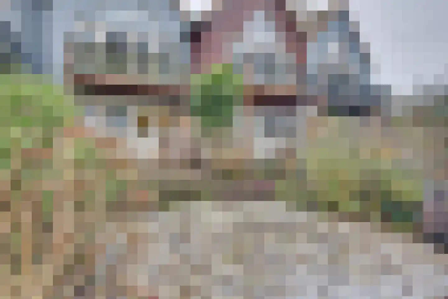 Sluuslaan 3 Middelharnis thumbnail 51