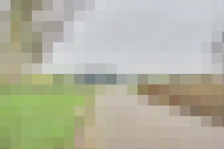 Sluuslaan 3 Middelharnis thumbnail 53