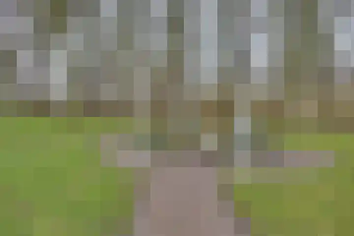 Sluuslaan 3 Middelharnis thumbnail 56
