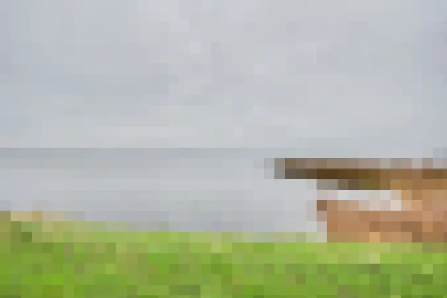 Sluuslaan 3 Middelharnis thumbnail 56