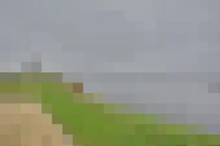 Sluuslaan 3 Middelharnis thumbnail 58