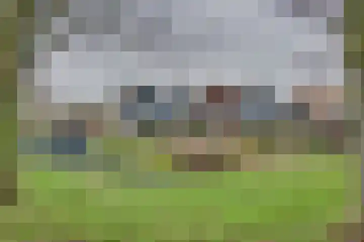 Sluuslaan 3 Middelharnis thumbnail 61
