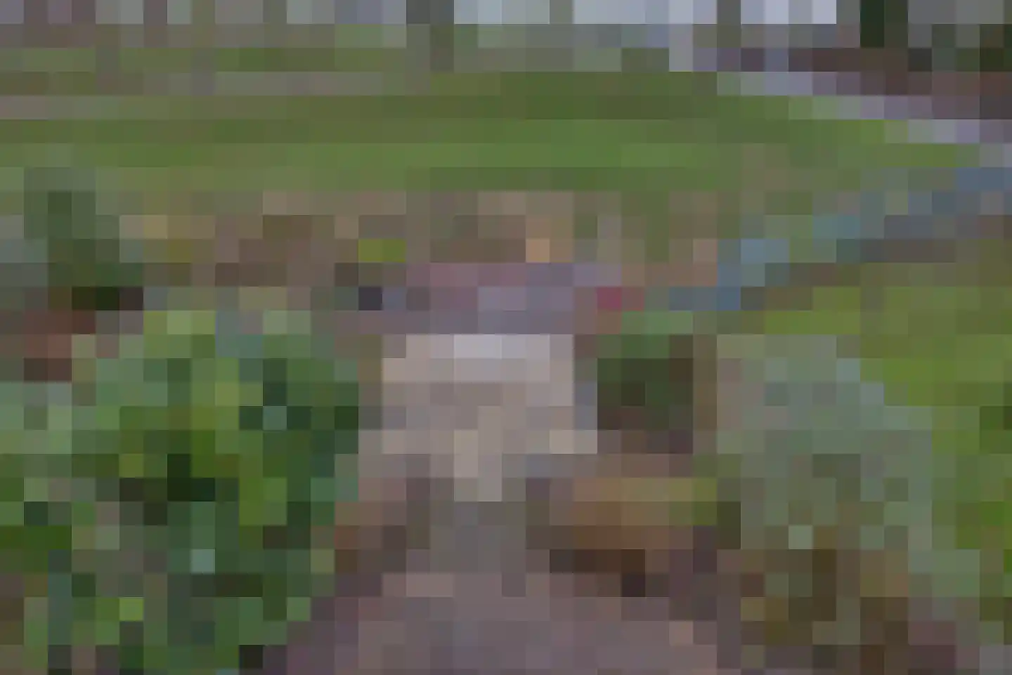 Sluuslaan 3 Middelharnis thumbnail 63