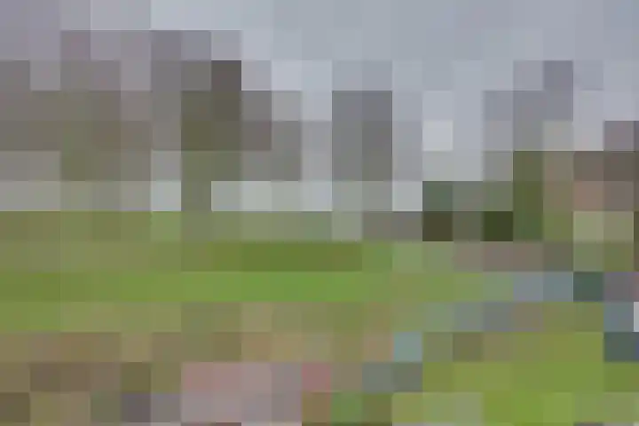 Sluuslaan 3 Middelharnis thumbnail 65