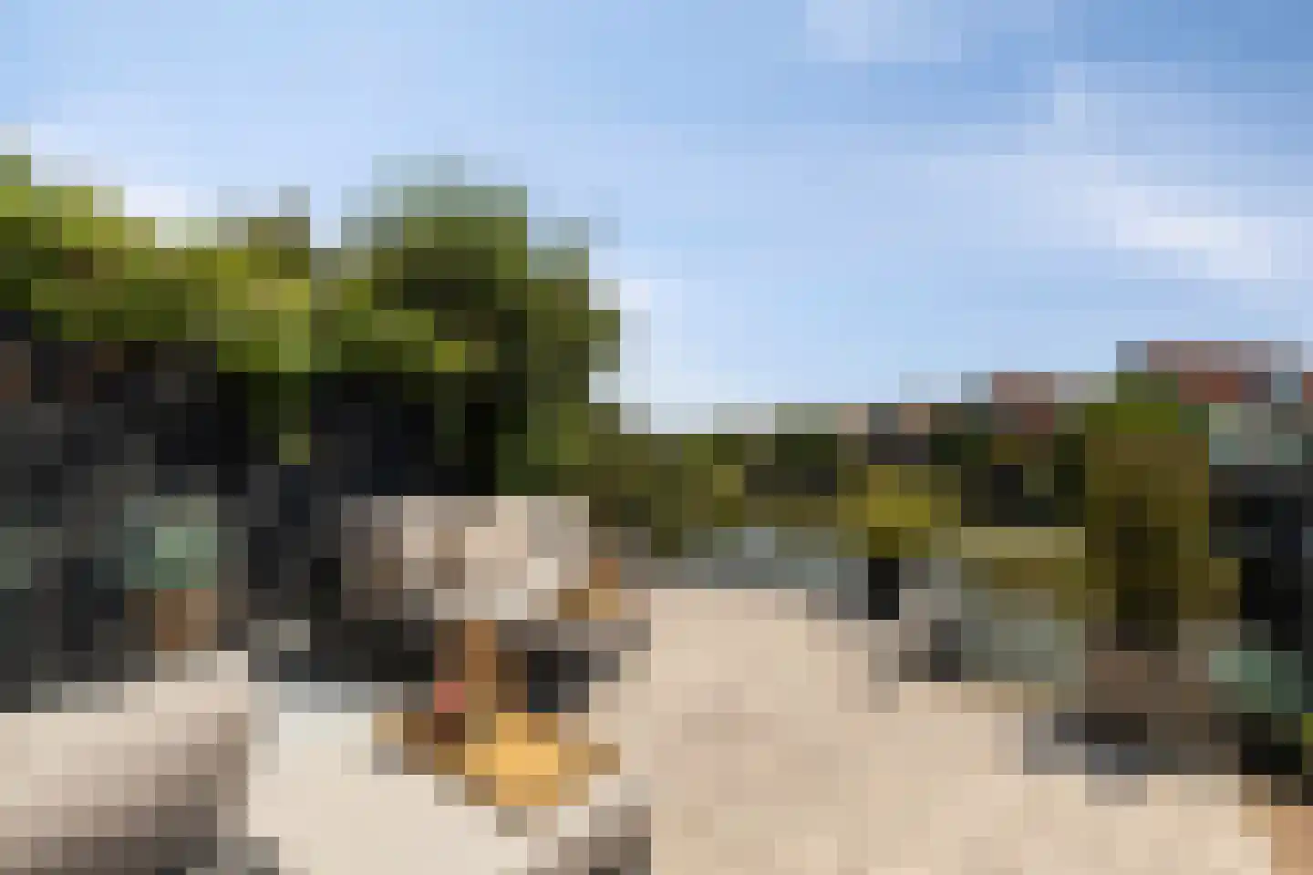 Sluuslaan 32 Middelharnis thumbnail 4