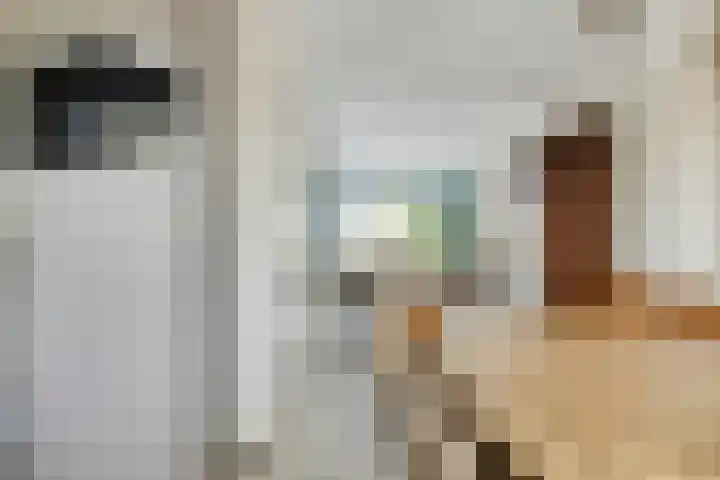 Sluuslaan 35 Middelharnis thumbnail 12