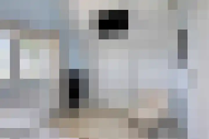 Sluuslaan 35 Middelharnis thumbnail 26