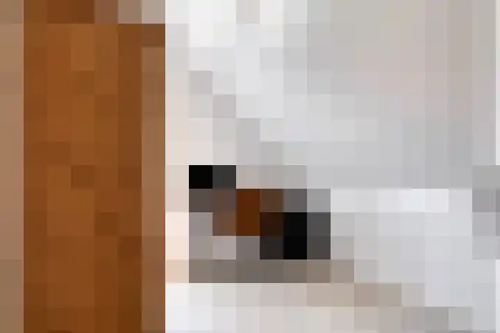 Sluuslaan 35 Middelharnis thumbnail 34
