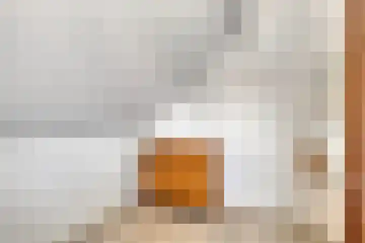 Sluuslaan 35 Middelharnis thumbnail 35