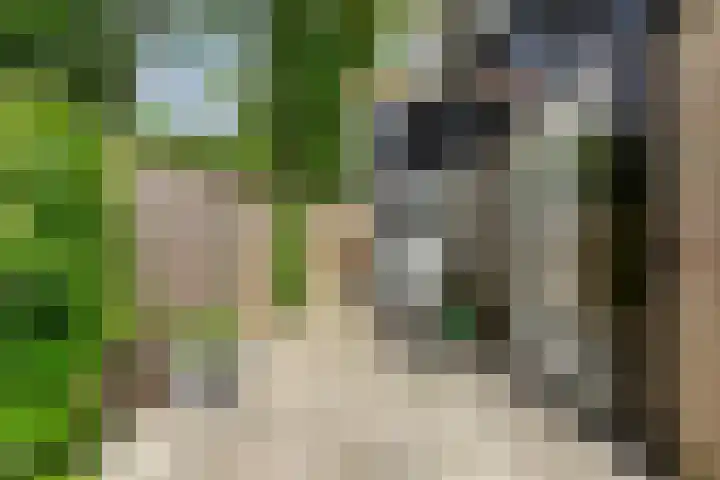 Sluuslaan 35 Middelharnis thumbnail 36